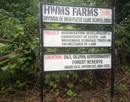 WhatsApp Image 2025-02-27 at 8.16.02 PM